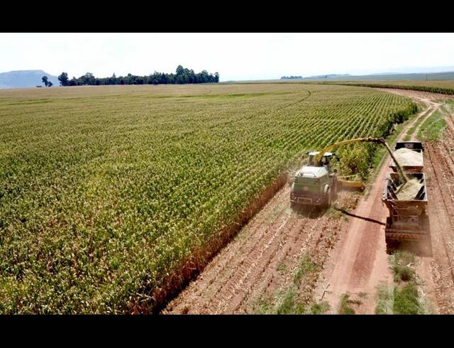 FARM FOR SALE IN NEWCASTLE RURAL